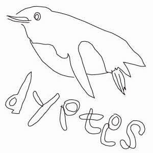 dyptes